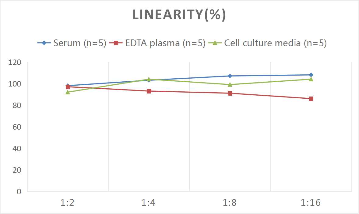 Samples were spiked with high concentrations of Rat VE-Cadherin, and diluted with Reference Standard & Sample Diluent to produce samples with values within the range of the assay.