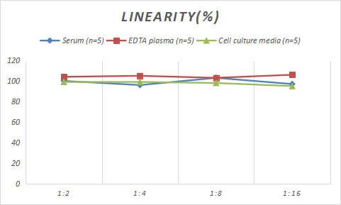 ELISA Porcine VIP ELISA Kit (Colorimetric)