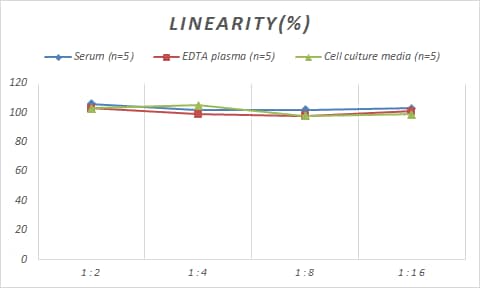 Samples were spiked with high concentrations of Monkey AGER, and diluted with Reference Standard & Sample Diluent to produce samples with values within the range of the assay.