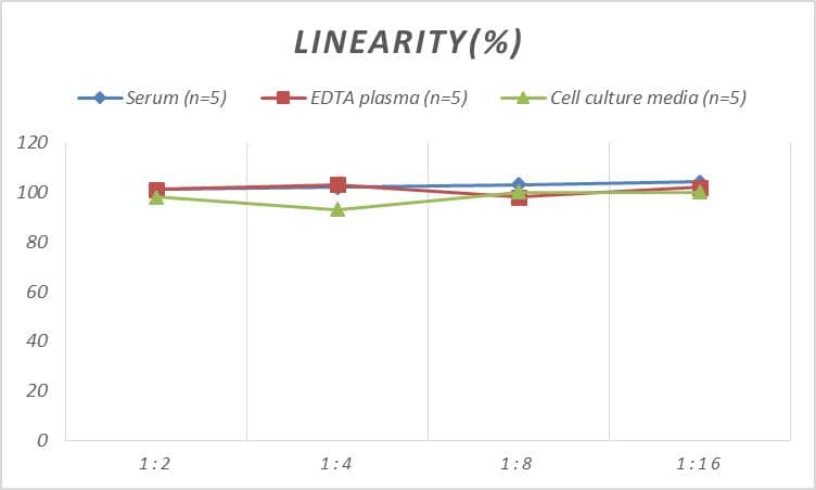 Samples were spiked with high concentrations of Monkey Angiopoietin-1, and diluted with Reference Standard & Sample Diluent to produce samples with values within the range of the assay.