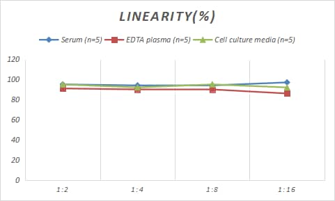 Samples were spiked with high concentrations of Rabbit Angiopoietin-2, and diluted with Reference Standard & Sample Diluent to produce samples with values within the range of the assay.
