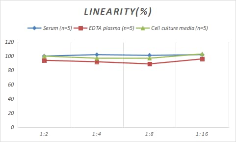 Samples were spiked with high concentrations of Rabbit Angiopoietin-like Protein 3/ANGPTL3, and diluted with Reference Standard & Sample Diluent to produce samples with values within the range of the assay.