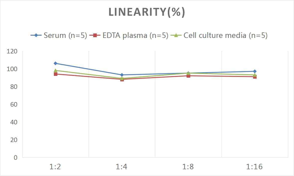 ELISA Rat Arginase 1/ARG1/liver Arginase ELISA Kit (Colorimetric)