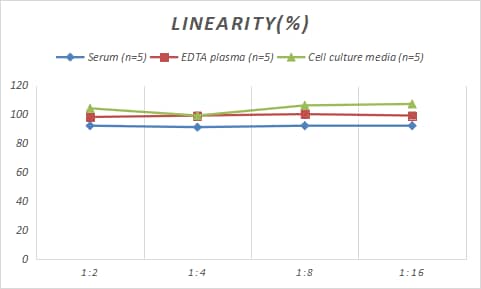ELISA Rabbit Abeta 42 ELISA Kit (Colorimetric)