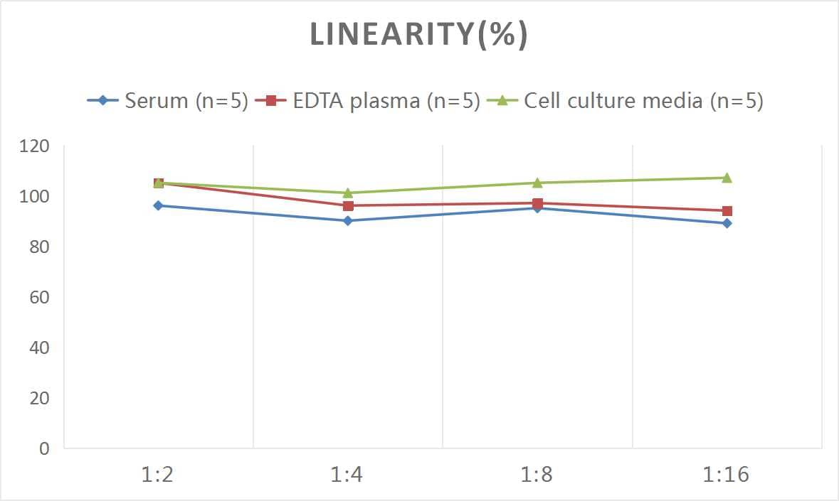 Samples were spiked with high concentrations of Rat BNP, and diluted with Reference Standard & Sample Diluent to produce samples with values within the range of the assay.