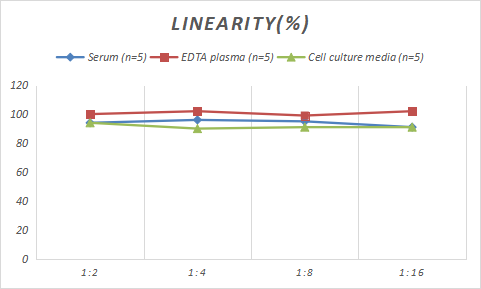 Samples were spiked with high concentrations of Rabbit CASP3, and diluted with Reference Standard & Sample Diluent to produce samples with values within the range of the assay.