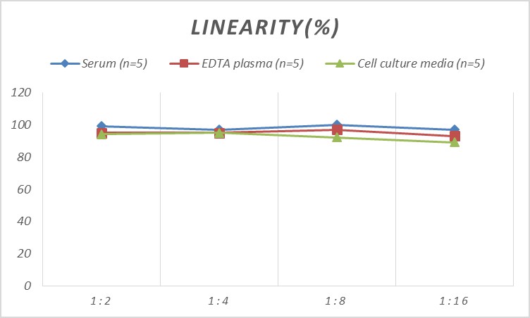 Samples were spiked with high concentrations of Monkey CC16, and diluted with Reference Standard & Sample Diluent to produce samples with values within the range of the assay.