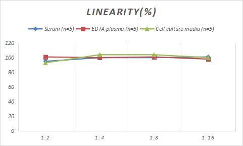 Samples were spiked with high concentrations of Sheep Creatine Kinase MB, and diluted with Reference Standard & Sample Diluent to produce samples with values within the range of the assay.