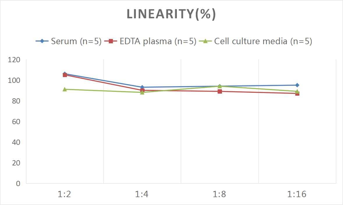 Samples were spiked with high concentrations of Human Connexin 43/GJA1, and diluted with Reference Standard & Sample Diluent to produce samples with values within the range of the assay.