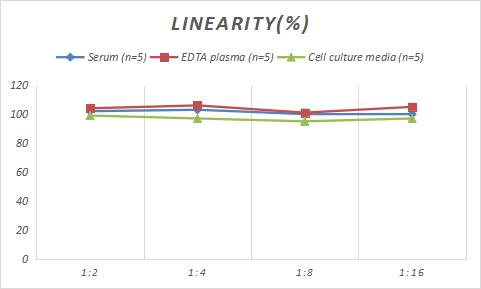 Samples were spiked with high concentrations of Rabbit Collagen III, and diluted with Reference Standard & Sample Diluent to produce samples with values within the range of the assay.