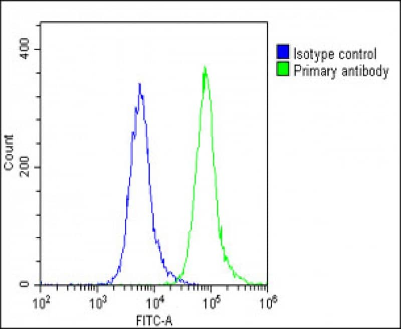 Flow Cytometry Scn1a Antibody (RB57630)