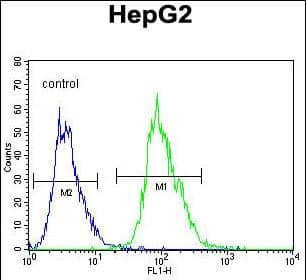 Flow Cytometry OR4K5 Antibody (RB29965)