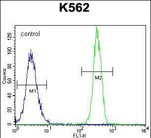 Flow Cytometry FBRSL1 Antibody (RB29571)