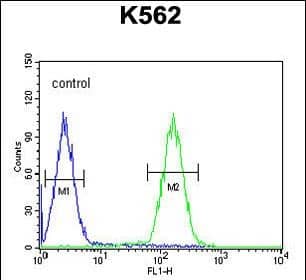 Flow Cytometry LCE2B Antibody (RB27598)