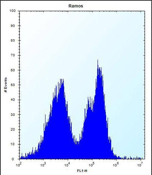 Flow Cytometry PCDHGA3 Antibody (RB33029)