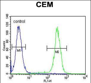 HIST1H2B Antibody (Center) western blot analysis in CEM,HL-60,NCI-H460 cell line lysates (35ug/lane).This demonstrates the HIST1H2B antibody detected the HIST1H2B protein (arrow).