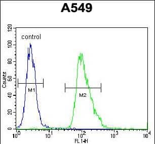 Flow Cytometry Aquaporin 12B Antibody (RB29754)