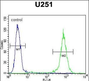 Flow Cytometry GGTLC2 Antibody (RB24615)