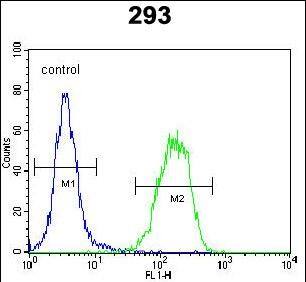 Flow Cytometry PCOTH Antibody (RB28580)