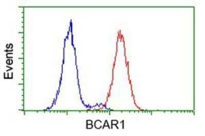 Flow Cytometry: p130Cas/BCAR1 Antibody (OTI1A9) - Azide and BSA Free [NBP2-73181] - Analysis of Hela cells, using anti-BCAR1 antibody, (Red), compared to a nonspecific negative control antibody (Blue).