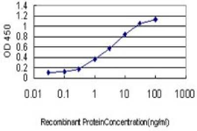 Sandwich ELISA: p21/CIP1/CDKN1A Antibody (2F1) [H00001026-M02] - Detection limit for recombinant GST tagged CDKN1A is approximately 0.1ng/ml as a capture antibody.