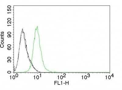 Flow Cytometry: p27/Kip1 Antibody (KIP1/769) - Azide and BSA Free [NBP2-47769] - Human p27 on Jurkat Cells. Black: Cells alone; Grey: Isotype Control; Green: AF488-labeled p27 Monoclonal Antibody (KIP1/769).