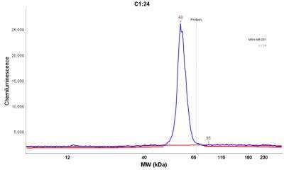 Simple Western: p53 Antibody (DO-7) [NBP2-34308] - Electropherogram image of the corresponding Simple western lane view. p53 antibody was used at 10 ug/ml dilution on MDA-MB-231 lysate(s) respectively.