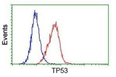 Flow Cytometry: p53 Antibody (OTI5E2) - Azide and BSA Free [NBP2-73200] - Analysis of Hela cells, using anti-p53 antibody, (Red), compared to a nonspecific negative control antibody (Blue).