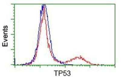 Flow Cytometry: p53 Antibody (OTI5E2) - Azide and BSA Free [NBP2-73200] - HEK293T cells transfected with either overexpression plasmid (Red) or empty vector control plasmid (Blue) were immunostaining by anti-p53 antibody, and then analyzed by flow cytometry.