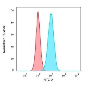 Flow Cytometry: p63/TP73L Antibody (TP40/3980R) - Azide and BSA Free [NBP3-08775] - Flow Cytometric Analysis of PFA-fixed HeLa cells using p63/TP73L Recombinant Rabbit Monoclonal Antibody (TP40/3980R) followed by goat anti-rabbit IgG-CF488 (blue); isotype control (red).