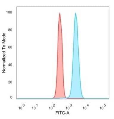 Flow Cytometry: p63/TP73L Antibody (TP63/2428) - Azide and BSA Free [NBP3-08736] - Flow Cytometric Analysis of PFA-fixed HeLa cells using p63/TP73L Mouse Monoclonal Antibody (TP63/2428) followed by goat anti- Mouse IgG-CF488 (blue); isotype control (red).