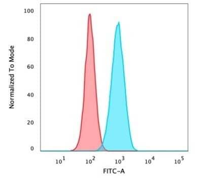 Flow Cytometry: p63/TP73L Antibody (ZR8) - Azide and BSA Free [NBP3-08776] - Flow Cytometric Analysis of PFA-fixed HeLa cells using p63/TP73L Recombinant Rabbit Monoclonal Antibody (ZR8) followed by goat anti-rabbit IgG-CF488 (blue); isotype control (red).