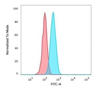 Flow Cytometry: p63/TP73L Antibody (rTP40/3690) - Azide and BSA Free [NBP3-08660] - Flow Cytometric Analysis of PFA-fixed HeLa cells using p63/TP73L Recombinant Mouse Monoclonal Antibody (rTP40/3690) followed by goat anti- Mouse IgG-CF488 (blue); isotype control (red).