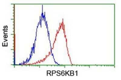 Flow Cytometry: p70 S6 Kinase/S6K Antibody (OTI1G4) - Azide and BSA Free [NBP2-73209] - Analysis of Jurkat cells, using anti-S6K antibody, (Red), compared to a nonspecific negative control antibody (Blue).