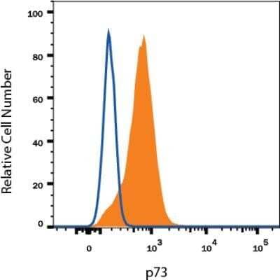 Flow Cytometry: p73 Antibody (5B429) - Azide Free [NBP2-33259] - Detection of p73 in Human HeLa Cell Line. Human HeLa cell line was stained with Mouse Anti- p73 Monoclonal Antibody (Catalog # NBP2-24737, filled histogram), or Mouse IgG1 isotype control (Catalog # MAB002, open histogram) followed by APC-conjugated Anti-Mouse IgG Secondary Antibody (Catalog # F0101B). To facilitate intracellular staining, cells were fixed with Flow Cytometry Fixation Buffer (Catalog # FC004) and permeabilized with Flow Cytometry Permeabilization/Wash Buffer I (Catalog # FC005). Images may not be copied, printed or otherwise disseminated without express written permission of Novus Biologicals a Bio-Techne brand. Image from the standard format of this antibody.