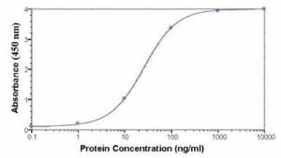ELISA: C1QA  Antibody [NB300-345] - Human plasma C1q protein as test antigen. Affi-pure IgY as primary antibody (1.0 ug/ml), and Goat anti-IgY-HRP as 2nd antibody. ( anti-C1QA )