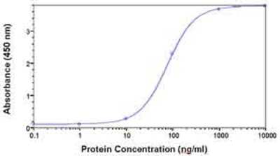 ELISA: PAFAH1B2 Antibody [NB120-15875] - Direct Elisa Test. Protein as test antigen. Affi-pure IgY as primary antibody and Goat anti-IgY HRP as 2nd antibody. Fixed amount of antibody (1 ug/ml) and serial dilutions of antigen. ( anti-PAFAH1B2 )
