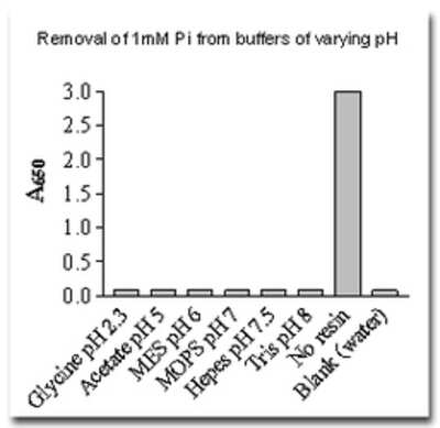 PiBind Resin  [501-0015]