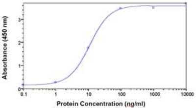 ELISA: TXNL1 Antibody [NB100-75433] - Direct Elisa Test. Protein as test antigen. Affi-pure IgY as primary antibody and Goat anti-IgY HRP as 2nd antibody. Fixed amount of antibody (1 ug/ml) and serial dilutions of antigen. ( anti-TXNL1 )
