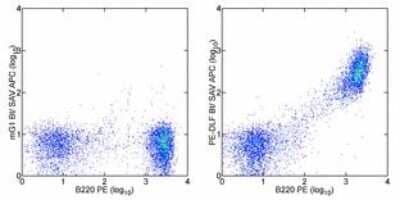 Flow Cytometry: phycoerythrin Antibody (PE-DLF) [NBP2-00146] - Analysis using the Biotin conjugate of NBP2-00146. Staining of C57BL/6 splenocytes with Anti Human/Mouse CD45R (B220) PE and 0.06 ug of Mouse IgG1 kappa Isotype Control Biotin (left) or 0.06 ug of Anti-Phycoerythrin Biotin (right) followed by Streptavidin APC.