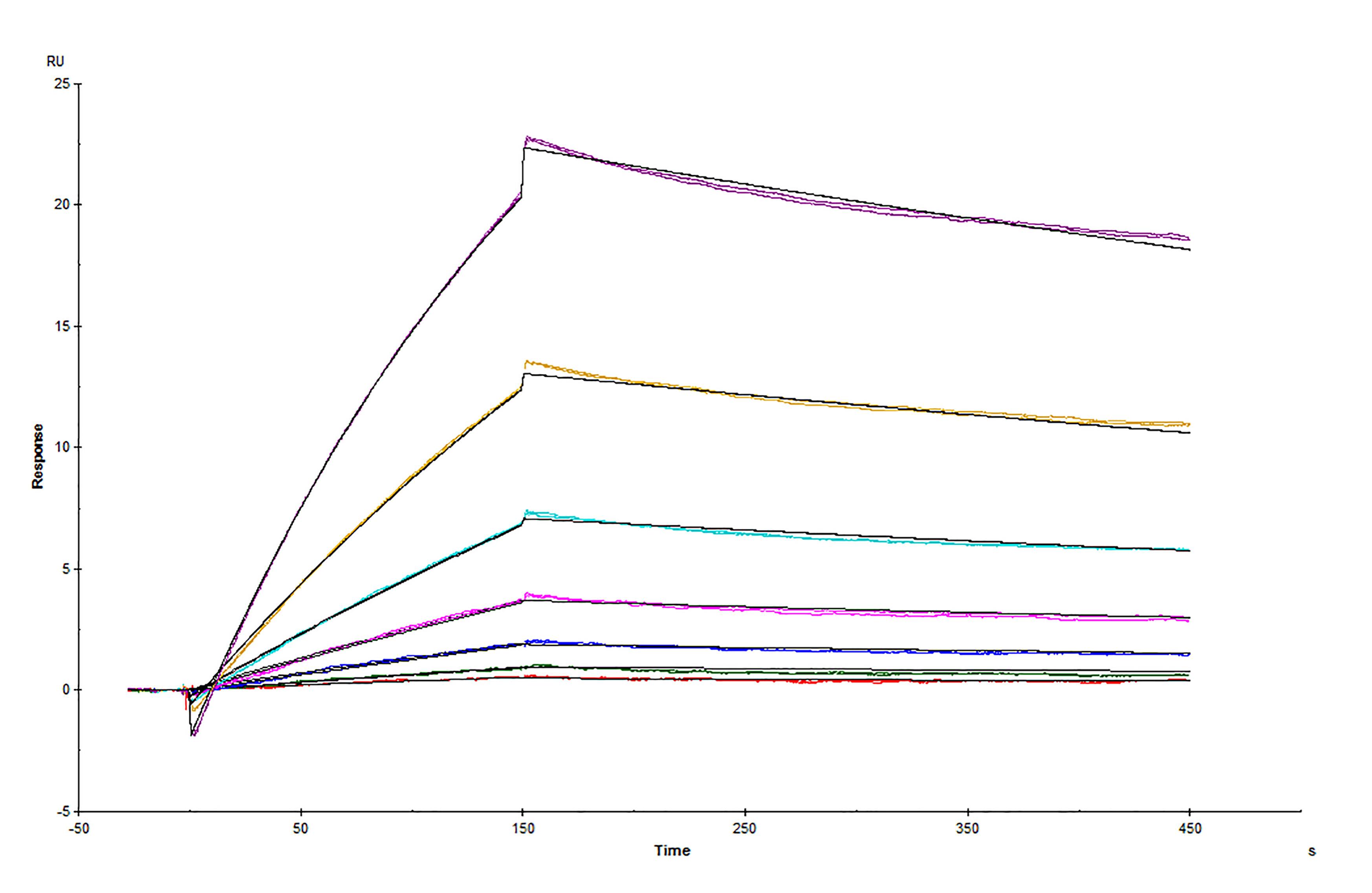 Surface Plasmon Resonance (SPR) Spike RBD [Unconjugated]