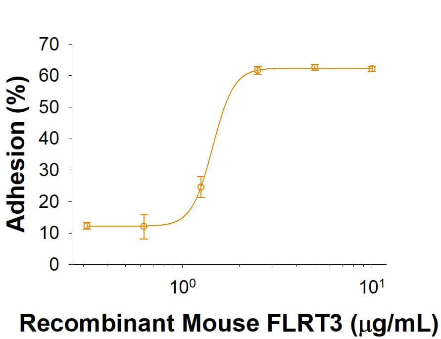 Recombinant Mouse FLRT3 His-tag (Catalog # 10614-FL) supports the adhesion of Neuro 2A mouse neuroblastoma cells. The ED50 for this effect is 0.4-3.6 µg/mL.