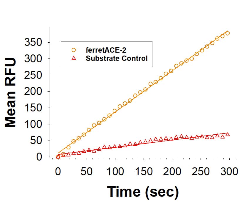 Recombinant Ferret ACE‑2 His-tag Protein (Catalog # 10635-ZN) is measured by its ability to cleave a fluorogenic peptide substrate, Mca-YVADAPK(Dnp)-OH (ES007).