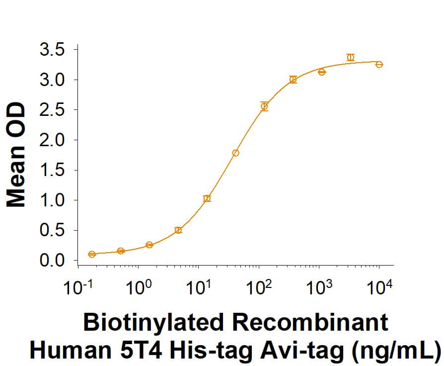 Binding Activity 5T4 [Biotin]