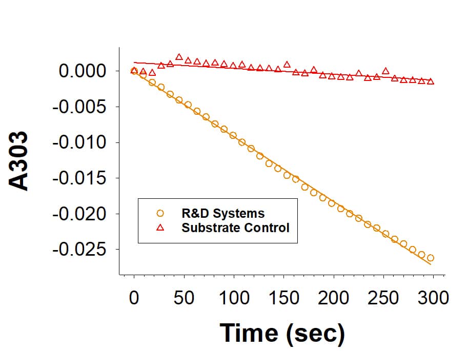 Recombinant Human ACAT1 His-tag (Catalog# 10242-AC) is measured by its ability to convert acetoacetyl-CoA and CoA into acetylCoA.