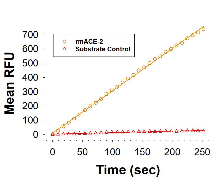 Recombinant Mouse ACE-2 His-tag (Catalog # 3437-ZN) is measured by its ability to cleave a fluorogenic peptide substrate, Mca-YVADAPK(Dnp)-OH (Catalog # ES007).