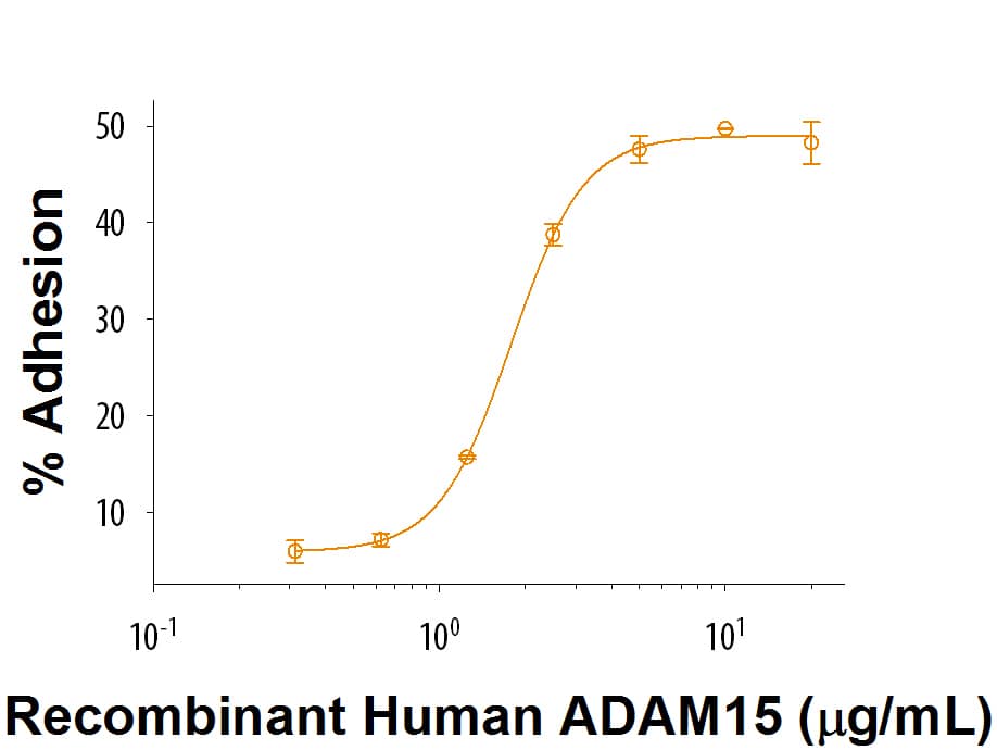 Immobilized Recombinant Human ADAM15 (Catalog # 9234-AD) supports the adhesion of Jurkat human acute T cell leukemia cells. The ED50 for this effect is 0.5-3 μg/mL.