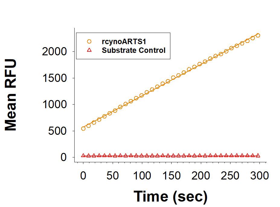 Enzyme Activity Aminopeptidase PILS/ARTS1 [Unconjugated]