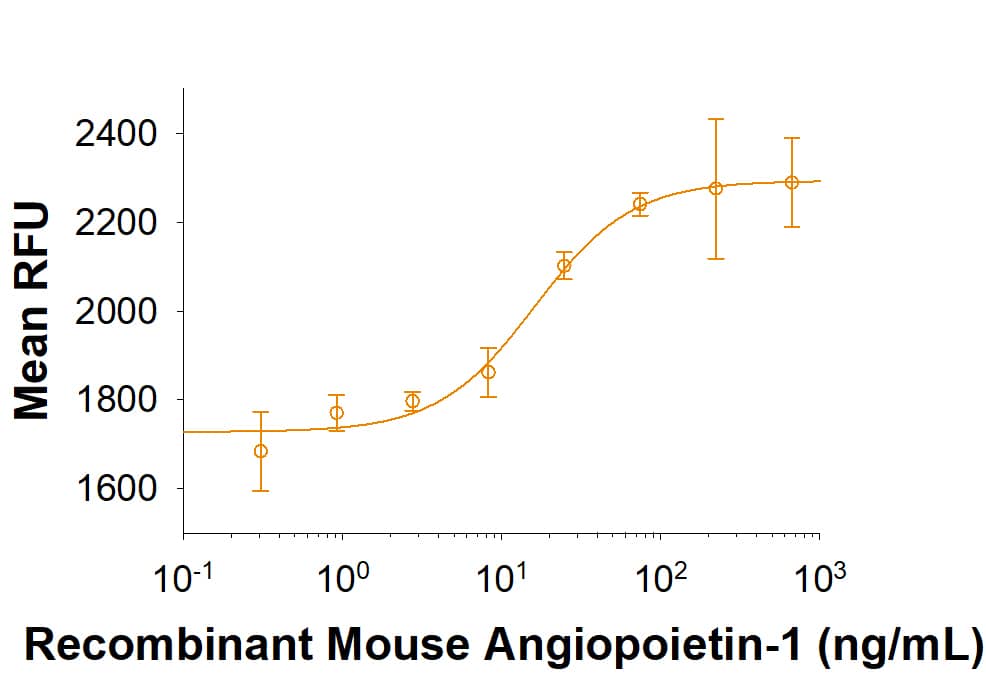 Bioactivity Angiopoietin-1 [Unconjugated]