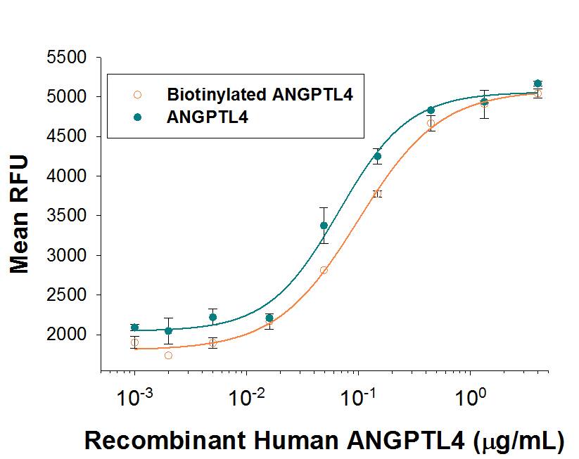 Both Biotinylated Recombinant Human Angiopoietin-like Protein 4/ANGPTL4 (Catalog # BT4487) and unlabeled Recombinant Human Angiopoietin-like Protein 4/ANGPTL4 (Catalog # 4487-AN) promotes the expansion of E16-E18 rat liver mononuclear cellsin vitro, in the presence of Recombinant Mouse SCF/c-kit Ligand (Catalog # 455-MC), Recombinant Mouse Thrombopoietin/Tpo (Catalog # 488-TO), and Recombinant Mouse Flt-3 Ligand (Catalog # 427-FL). The ED50 for this effect is 100-600 ng/mL in the presence of a cross-linking antibody, His Tag MAb (Catalog # MAB050). The similarity in activity highlights that the biotinylated protein is fully functional.